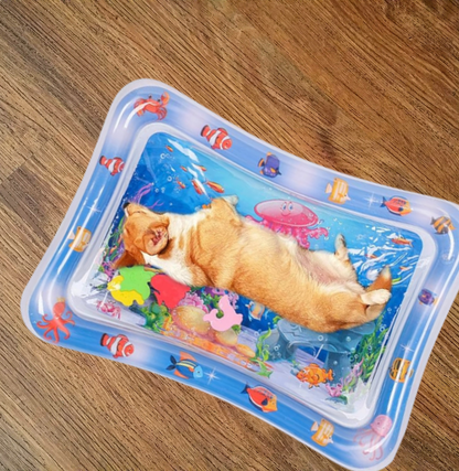 Piscina Sensorial Inflable – Juego, Aprendizaje y Diversión